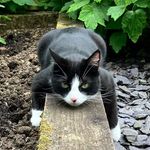 Carol Tully - @proftully - Instagram