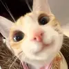 caroline_tullyyyyy - @caroline_tully0 - TikTok