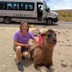Carol Tyrrell - @carol.tyrrell.56 - Instagram