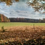 Carollee A Umstead - Facebook