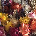 Carol Usher - @llyndriedflowers - Instagram