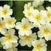 Carol Usher - Facebook