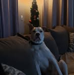 Carol Wagner - Facebook