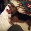 Carol Wagner - @carol.wagner1 - TikTok