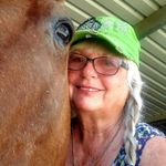 Carol Wagner - @wildlife_art - Instagram