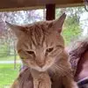 Carol Wagner - @carol.wagner5 - TikTok