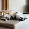 Carol Walters - @carol.walters42 - TikTok