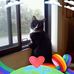 Carol Waters - Facebook