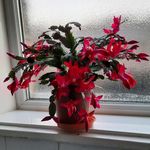 Carol Waters - @jcmwatermain - Instagram