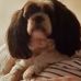Carol Werner - Facebook