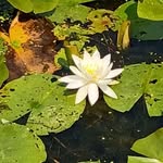 Carol Werner - @carol.werner.77 - Instagram