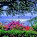 Carol Werner - Facebook