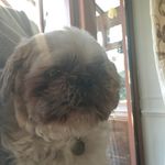 Carol Westerman - @carol.westerman - Instagram
