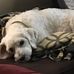Carolyn Crawford Westrick - Facebook