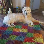 Carol Bailey Whitehead - @carol.whitehead.184 - Instagram