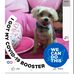 Carol Whitehead - Facebook