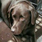 Carol Whitehead - @carol_whitehead - Instagram