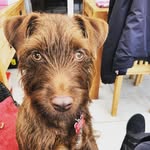 Carol Whitehead - @carolwhitehead71 - Instagram