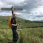 Carol Whitehead - @whitehead2942 - Instagram
