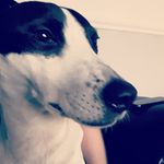 Carol Whitehead - @carol.whitehead.39 - Instagram