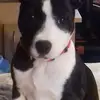 Carol Whitehead - @carol.whitehead3 - TikTok