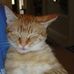 Carol Whitlow - Facebook