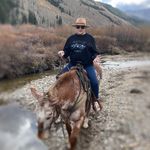 Carol Wicks - @cwicks5 - Instagram