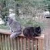 Carol Widmer - Facebook
