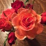 Carol Widmer - @carol.widmer - Instagram