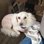 Carol Willis - @carolwillis7303 - Instagram