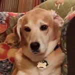 Carol Willis - @carolwillis8745 - Instagram