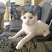 Carol Willis - Facebook