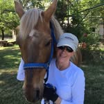 Carol Willis Realtor #01243102 - @carolwillisrealtor - Instagram