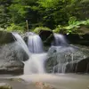 carolwillis245 - @carol.willis19 - TikTok