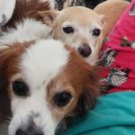 Carol Winter - @carol.winter.79 - Instagram
