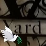 Carol Yard - @carol.yard.31 - Instagram