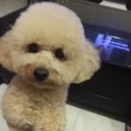 Carol Yee - Facebook