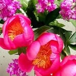 Carol Yeh - @carol.yeh.7902 - Instagram