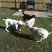 Carol Eskew - Facebook