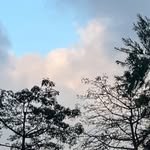 carol - @carolyip719 - Instagram