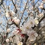 Carol Yip - @yip5102 - Instagram