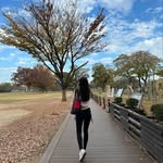 wingwingz - @carol_yip_ - Instagram