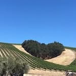 CarolAnn Casey - @caseycarolann - Instagram