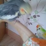 Carolann Cooper - @carolann.cooper - Instagram