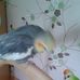 Carolann Cooper - Facebook