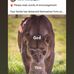 Carolann Hall - Facebook