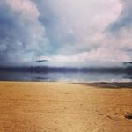 Carol Ann Moore 💚 🇵🇸 - @carolannmooreauthor - Instagram