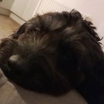 Carol Moore - @carolann.moore - Instagram