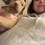 Carolann Watson - @cjlovestorock123 - Instagram
