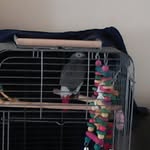 carol ann weldon pritchard - @carol_ann_weldon_pritchard - Instagram
